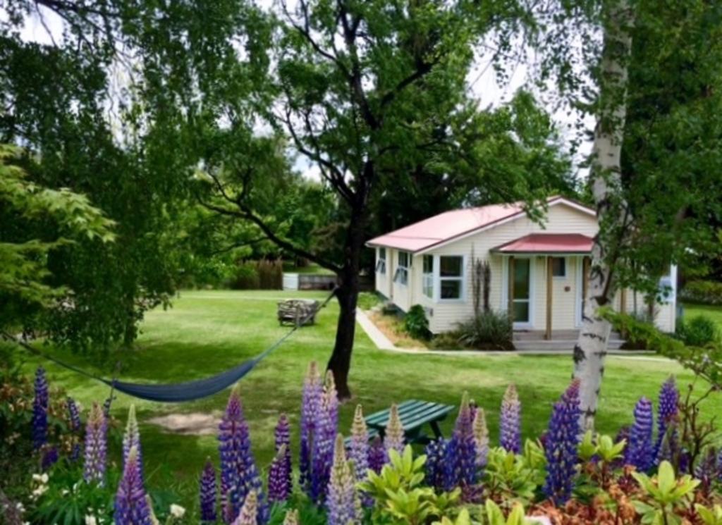 Tailor Made Tekapo Accommodation - Guesthouse & Hostel Lake Tekapo Værelse billede